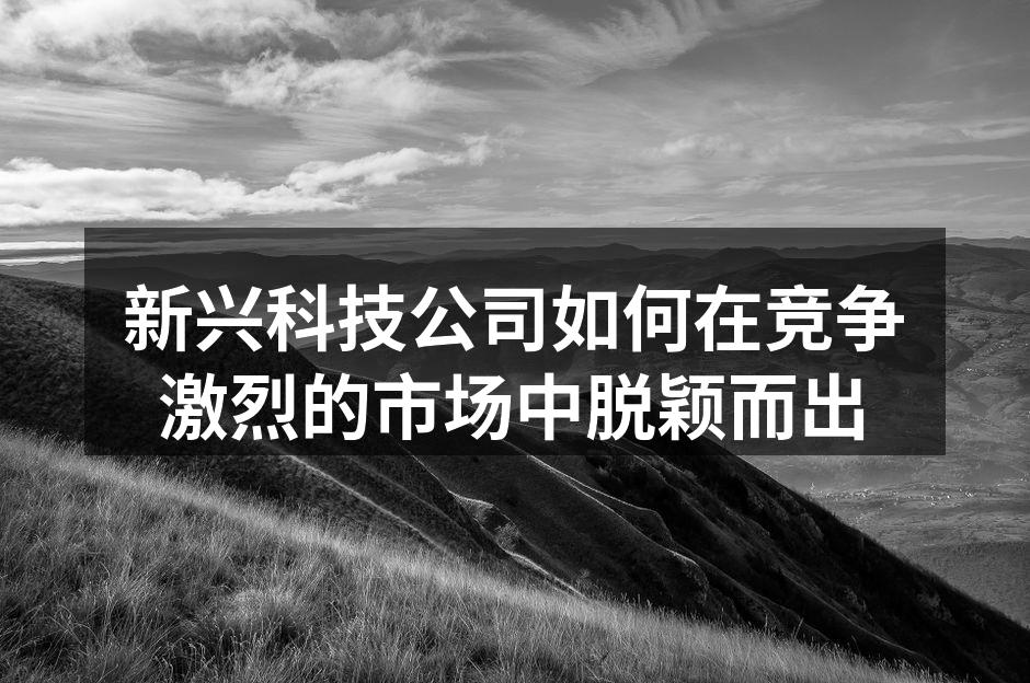 新兴科技公司如何在竞争激烈的市场中脱颖而出